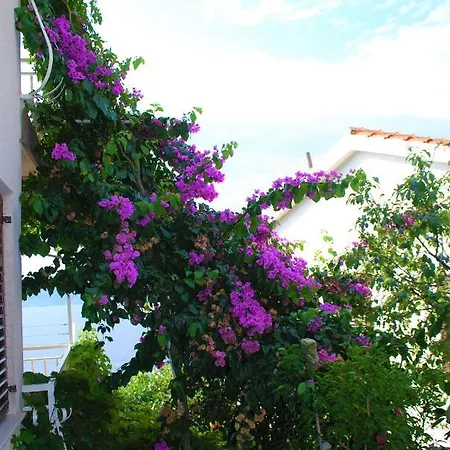 Apartment Nenad *